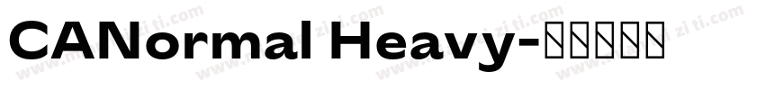 CANormal Heavy字体转换